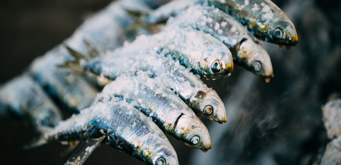 espeto de sardinas malaga