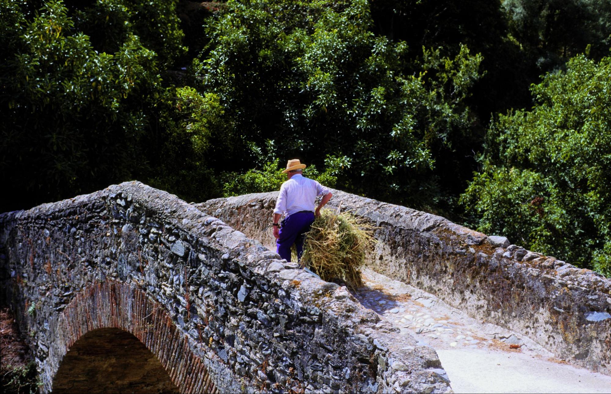puente romano salares
