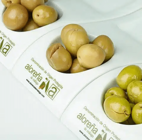 ferias gastronómicas malaga