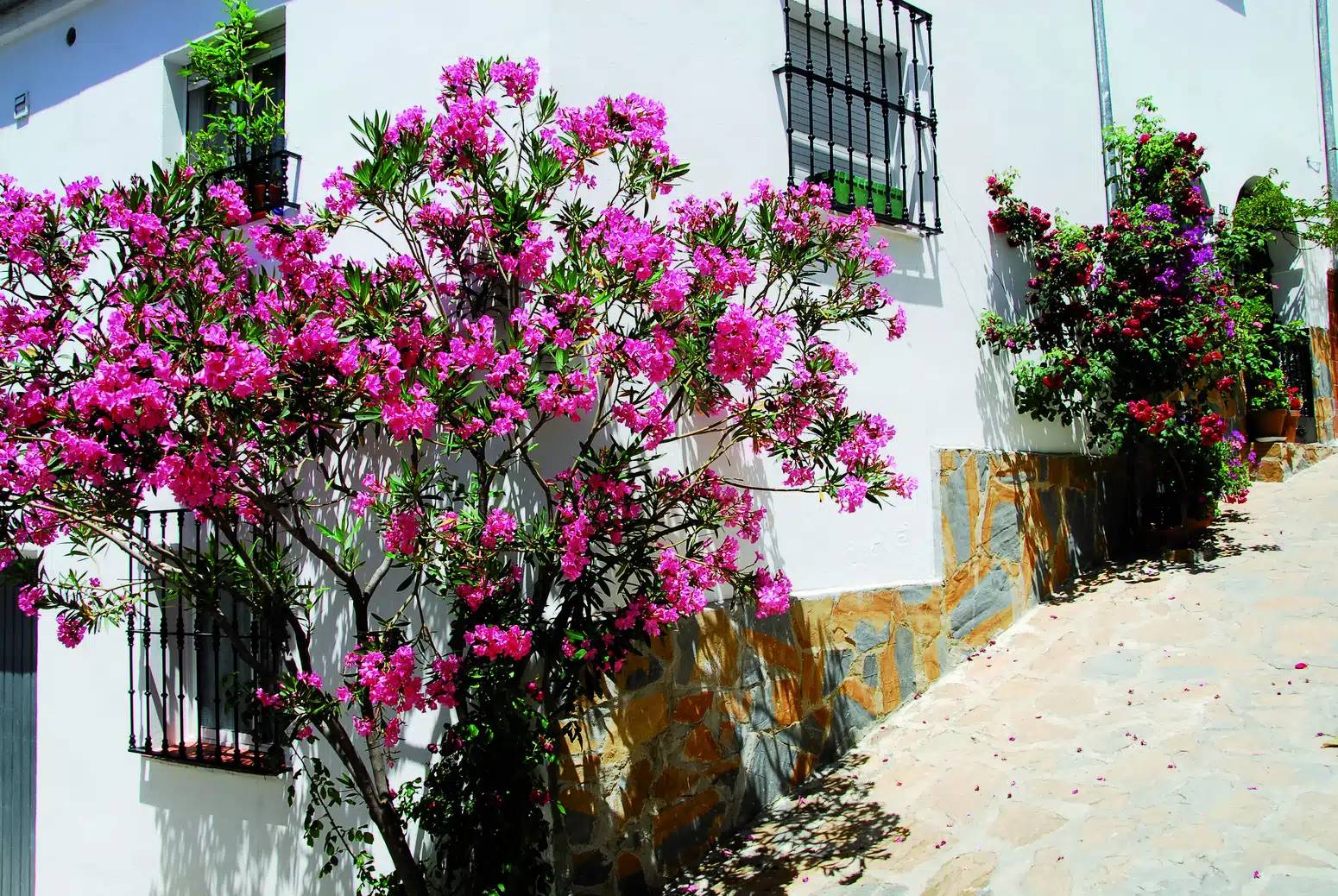 malaga jimera de libar