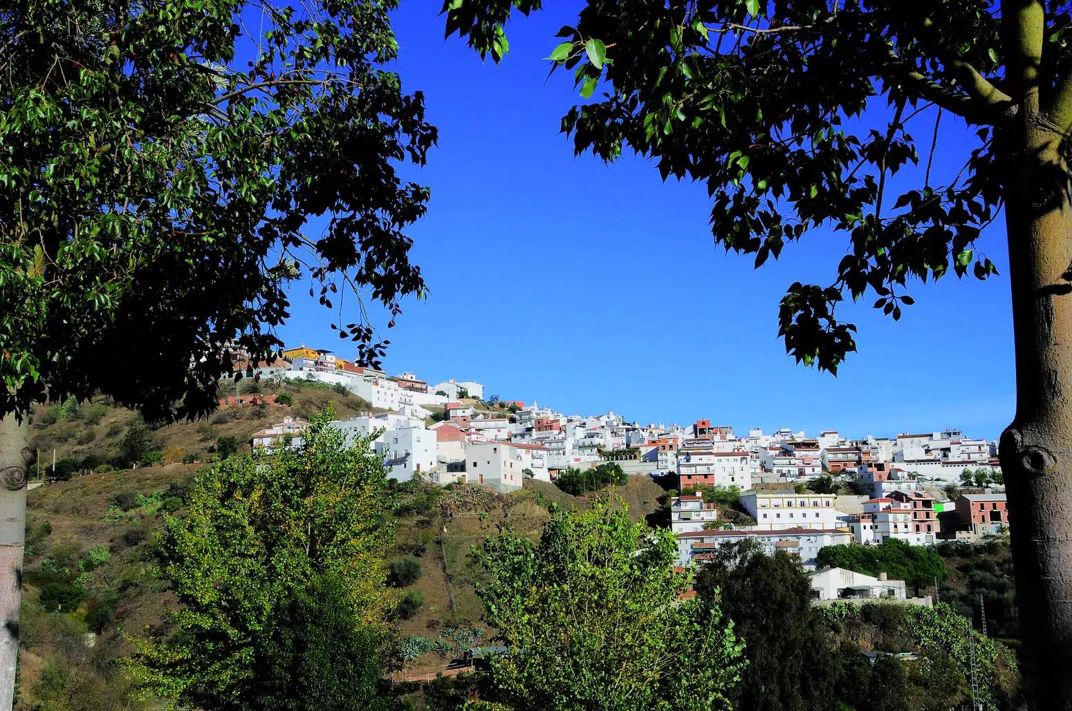 arenas malaga
