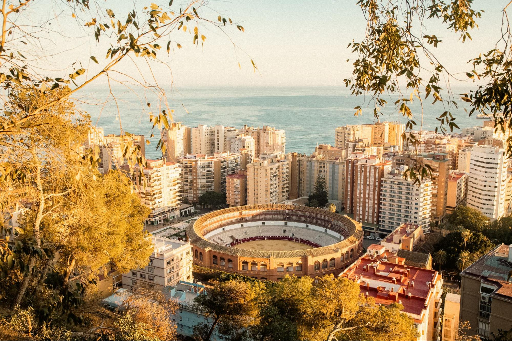 que comprar en malaga