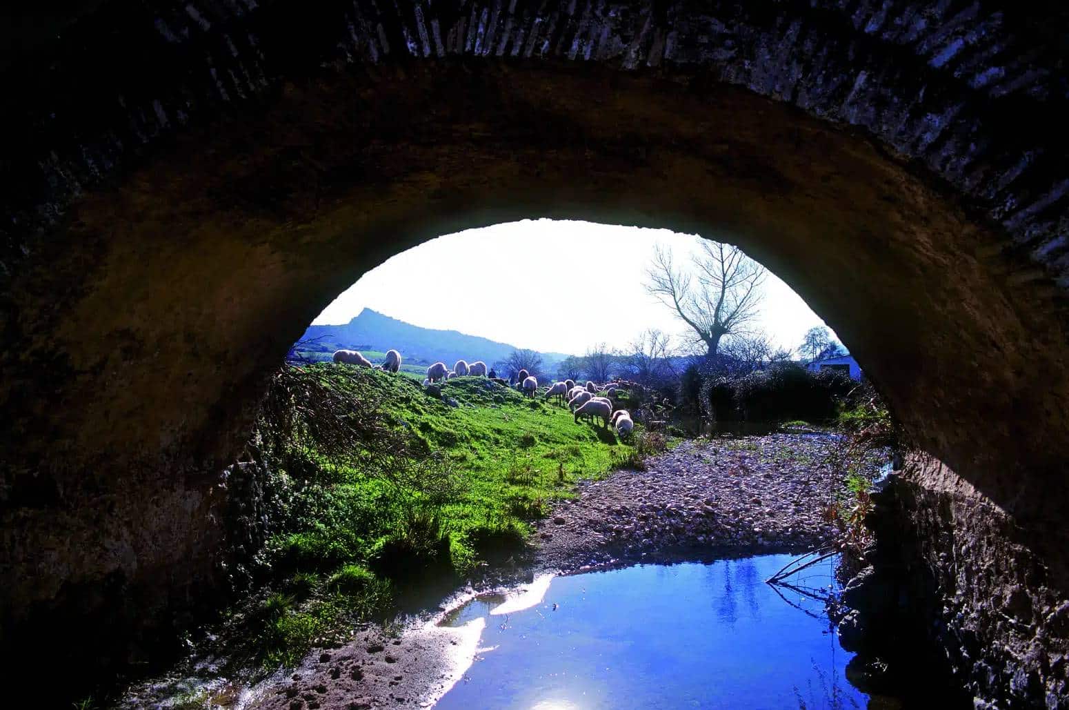 donde comer en alfarnatejo