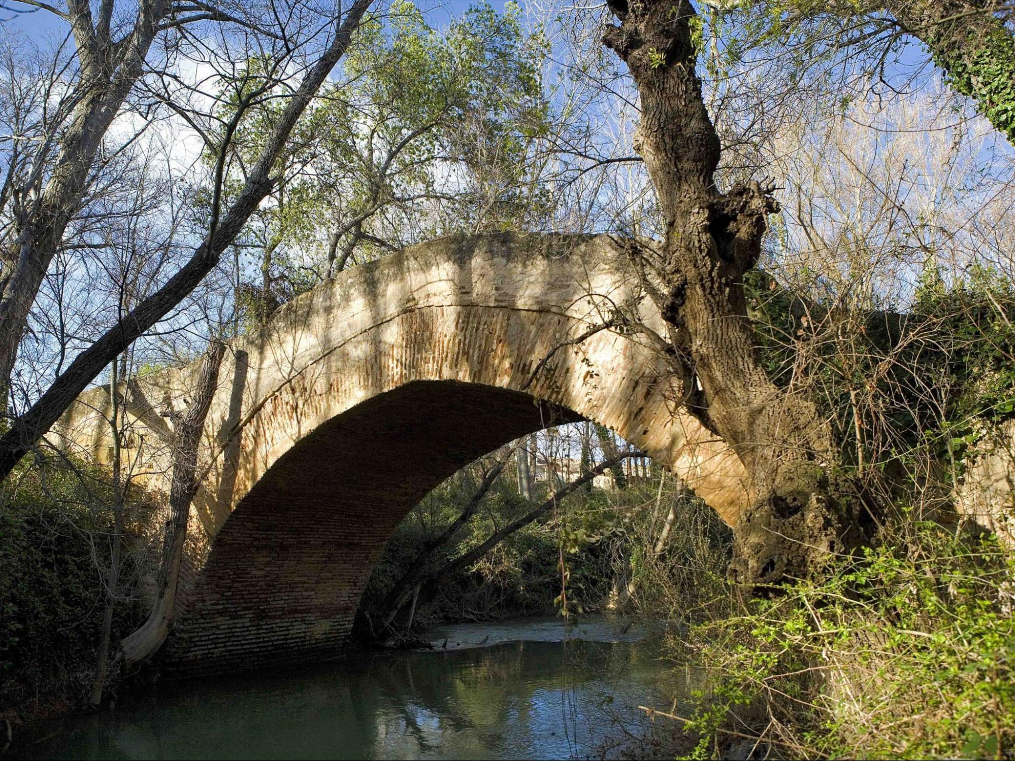 puente nazari de ortegicar